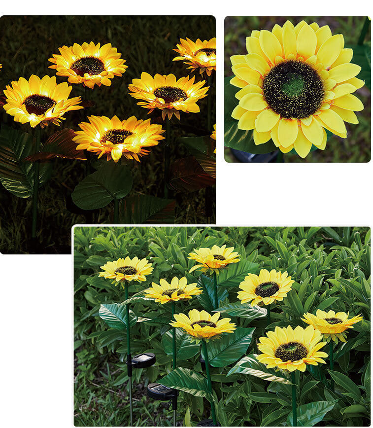 describe of solar sunflower light 1