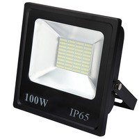 100W SMD LED FLood Light