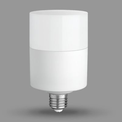 Flat Cylindrical Bulb