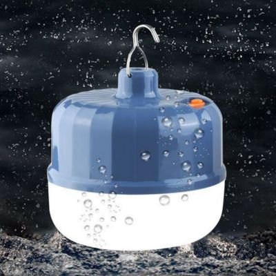 Rechargeable Outdoor Bulb