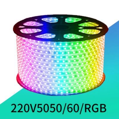 220V 5050 RGB LED strip light