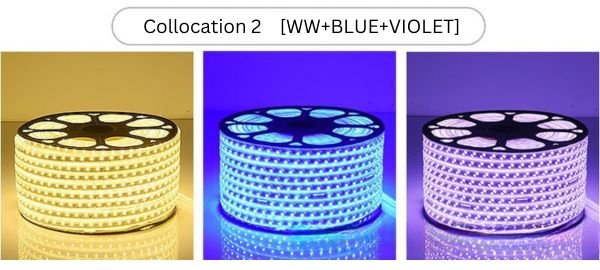 Residential led strip lighting COLLOCATION 2