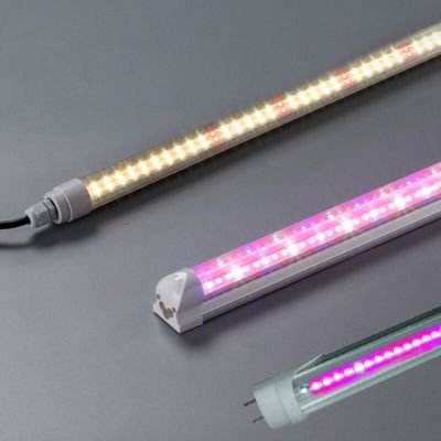 4 foot fluorescent grow light bulbs