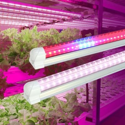 4ft t8 led grow light bulbs