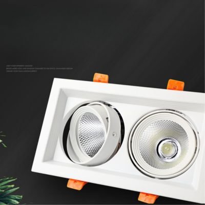 dual-head emboldens lamp