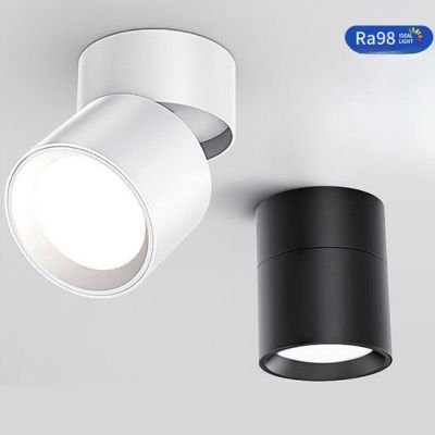 surface mount Directional Lighting