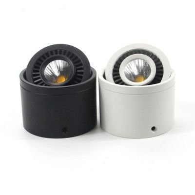 surface mount adjustable downlight