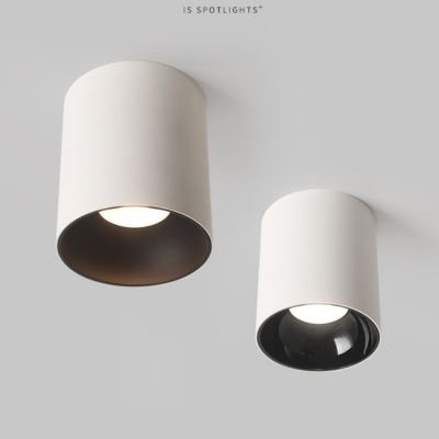 waterproof surface mounted downlight