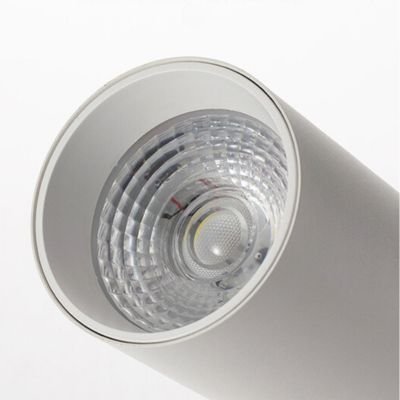 Fresnel lens of our track lights