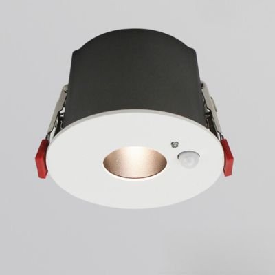 Motion Sensor Ceiling Spotlight