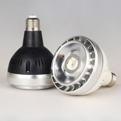 Commercial 25W 35W LED PAR30 lamps with OSRAM Chip