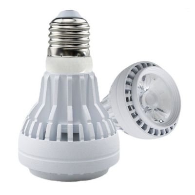 Engineering cost-effective par20 lamp