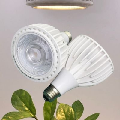 Plant Grow LED Par30 30W bulb with E27 lampholder AC85-265V