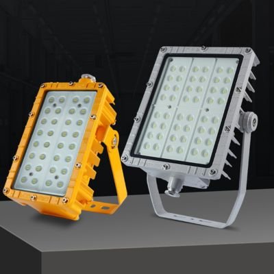 2 light pendant canopy