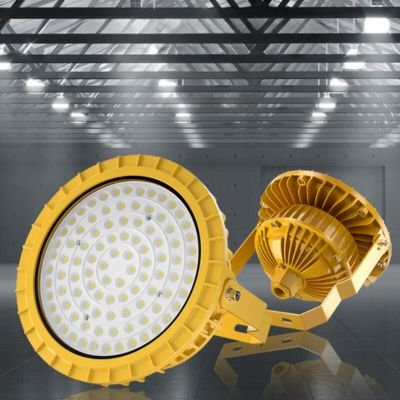Circular warehouse canopy light