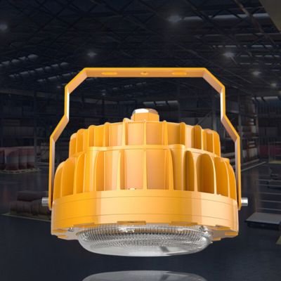 Explosion-proof industrial canopy light