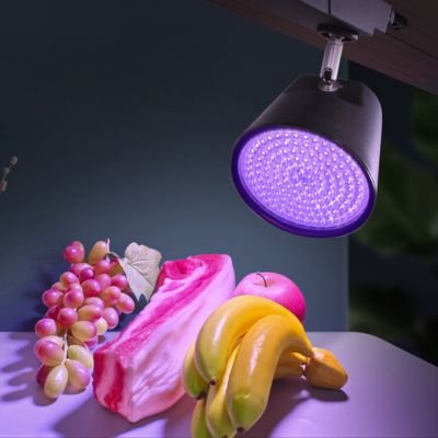 LED track fresh food light