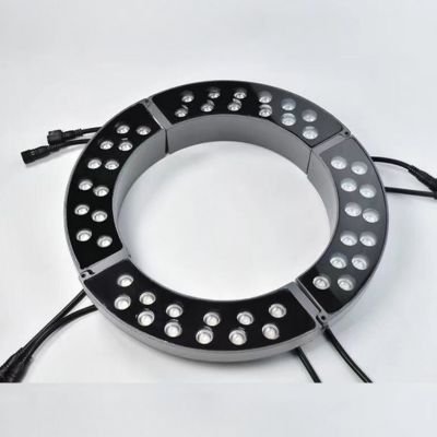 Park landscape ring tree light