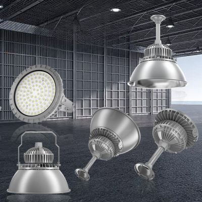 Round chemical plant canopy light