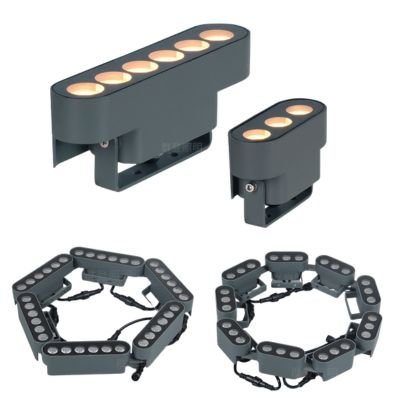 Strip tree holding light module