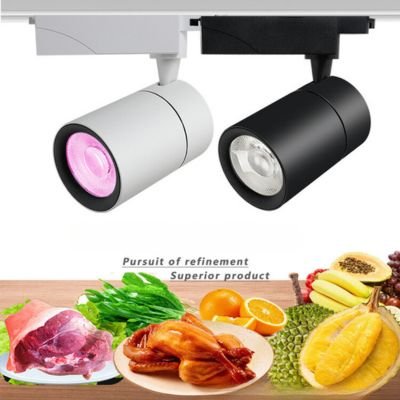led track lights for meat display