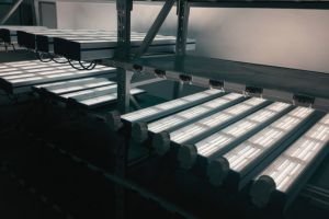 led canopy light aging test 2