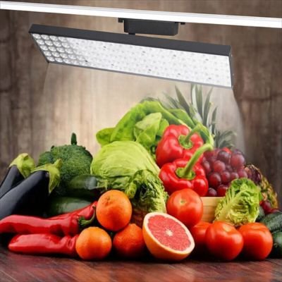 led linear lights for meat display
