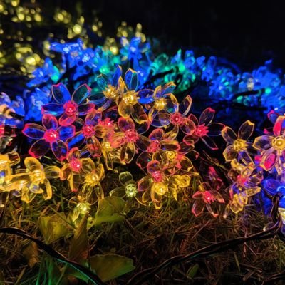 daisy chain garden lights