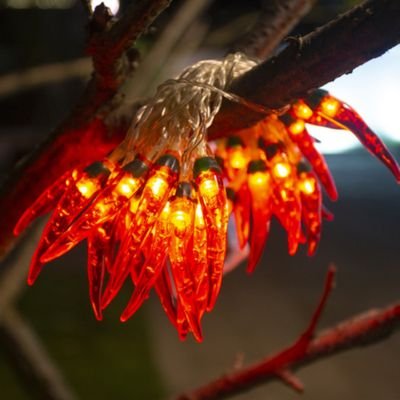 solar powered chili pepper lights