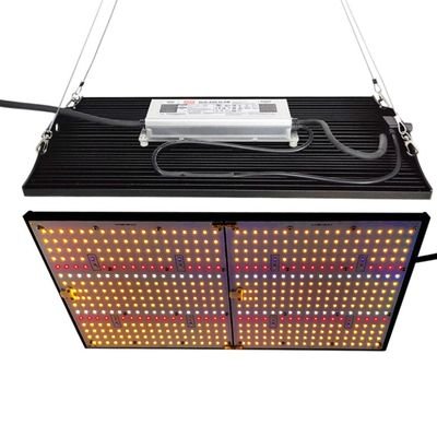 2 head grow light panel