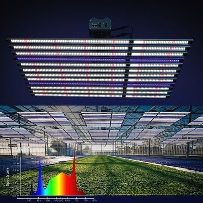 2000 watt grow light