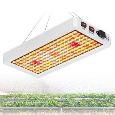 250W full spectrum panel grow light