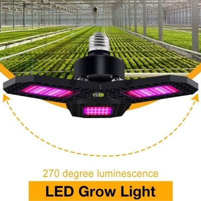 3 leaves purple grow light