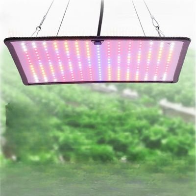 300W red blue panel grow light