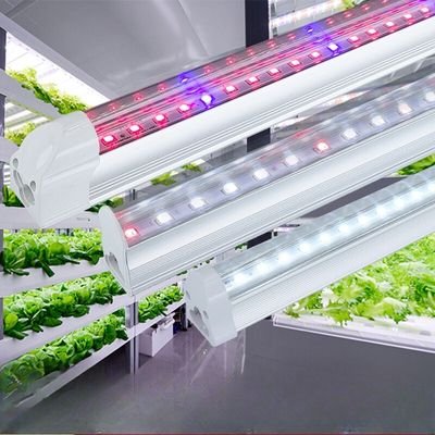 4 ft fluorescent grow lights