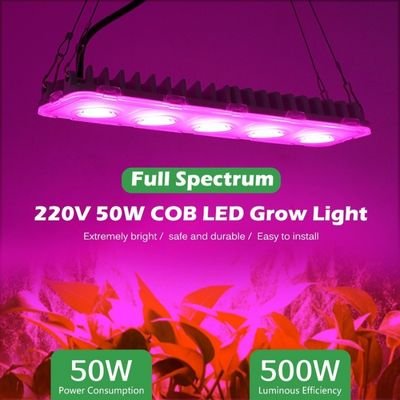 50W full spectrum bat grow light