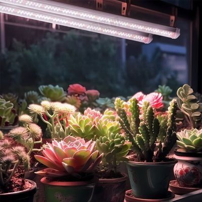 8ft led grow lights