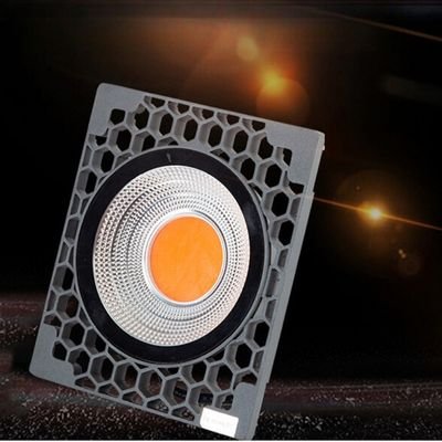 COB LED Grow Light 200W