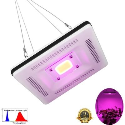 COB LED Grow Light 500W