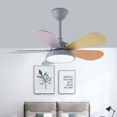 beautiful ceiling fans with lights