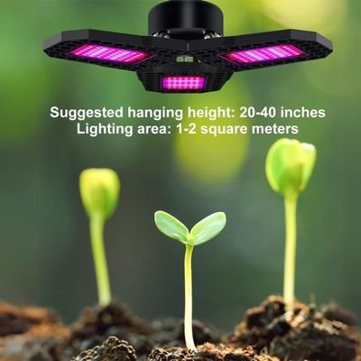 grow light wattage for seedlings