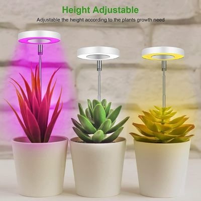 height adjustable succulent grow light