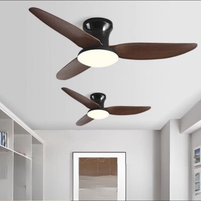 living room fan with light