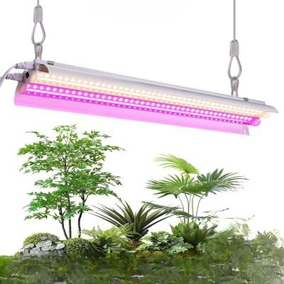 regular fluorescent light for plants