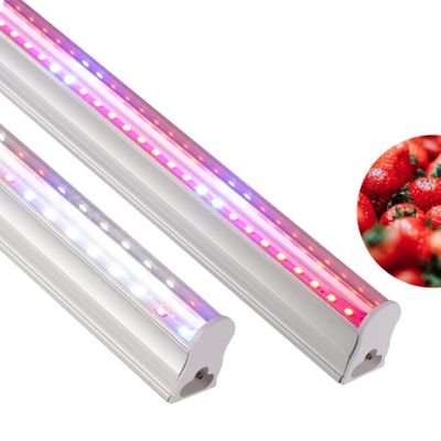 t5 led grow lights 2ft