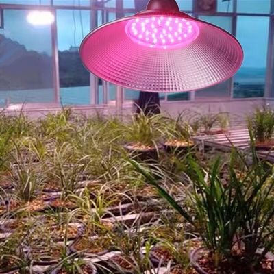 ufo led grow light 60w