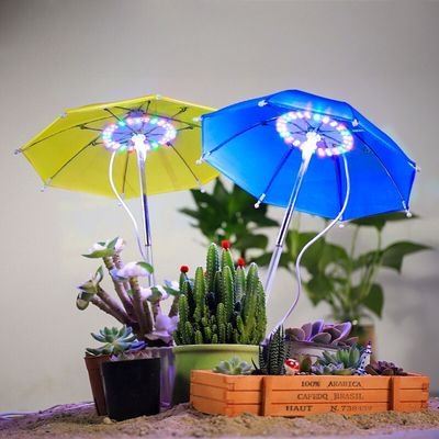 umbrella succulent grow light 1