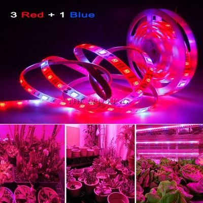 waterproof indoor strip light for plant