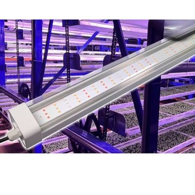wide board waterproof LED tube Grow light